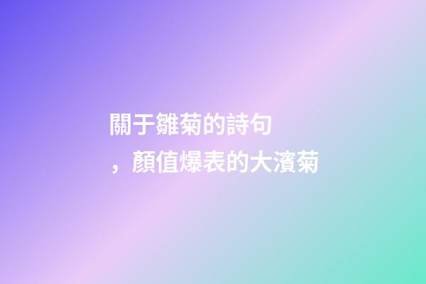 關于雛菊的詩句，顏值爆表的大濱菊